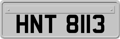 HNT8113