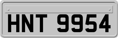 HNT9954