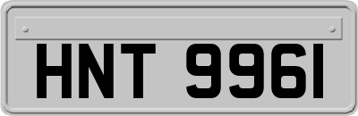 HNT9961