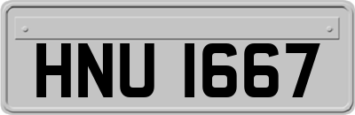 HNU1667