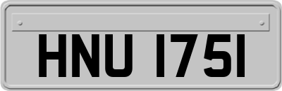 HNU1751