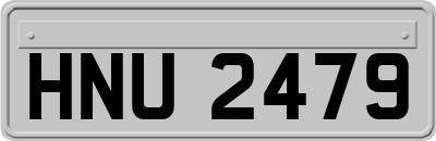 HNU2479