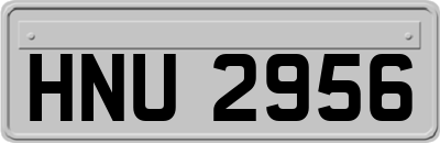 HNU2956
