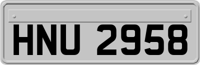 HNU2958