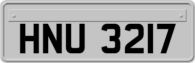 HNU3217