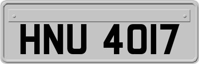 HNU4017