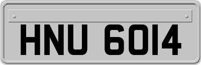 HNU6014