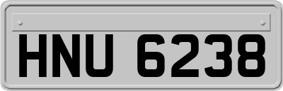 HNU6238