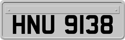 HNU9138