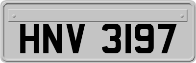 HNV3197