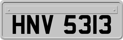 HNV5313