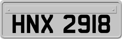 HNX2918