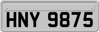 HNY9875