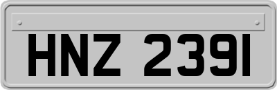 HNZ2391