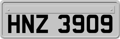 HNZ3909