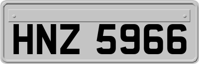 HNZ5966