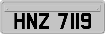 HNZ7119