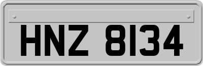 HNZ8134