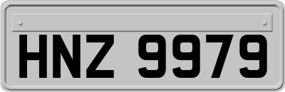 HNZ9979