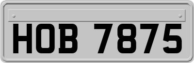 HOB7875