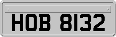 HOB8132