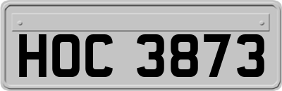 HOC3873