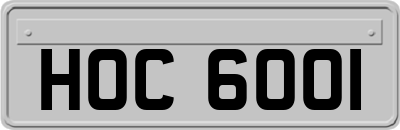 HOC6001