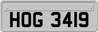 HOG3419