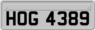 HOG4389