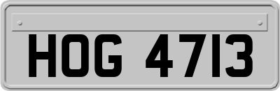 HOG4713