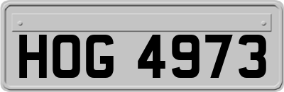 HOG4973
