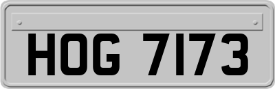 HOG7173