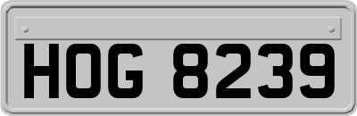 HOG8239