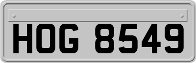 HOG8549