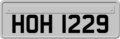 HOH1229