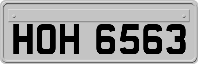 HOH6563