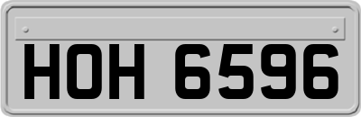 HOH6596
