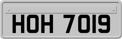 HOH7019