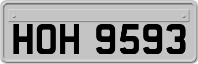HOH9593