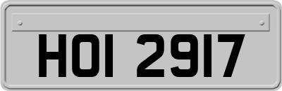 HOI2917