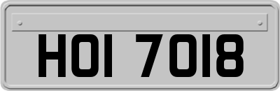 HOI7018
