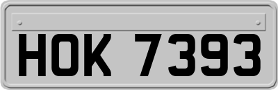HOK7393