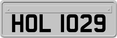 HOL1029