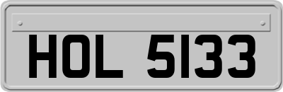 HOL5133