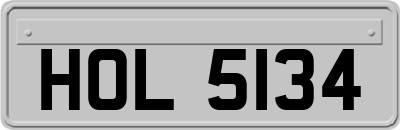 HOL5134