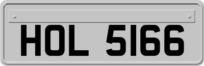 HOL5166