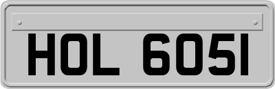 HOL6051