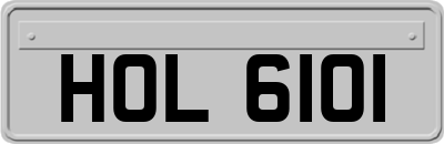 HOL6101