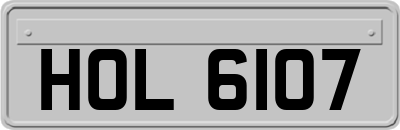 HOL6107