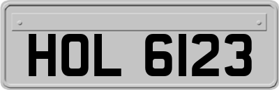 HOL6123